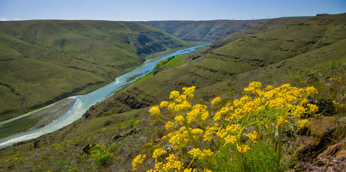 WRC Buys Strategic John Day River Property at Auction Western Rivers